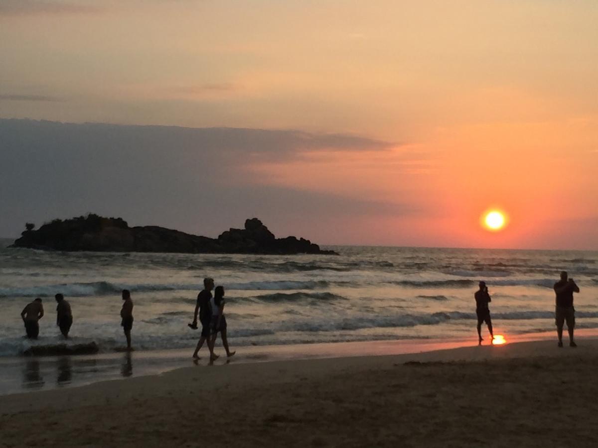 Aliya Lanka 호텔 베루왈라 외부 사진